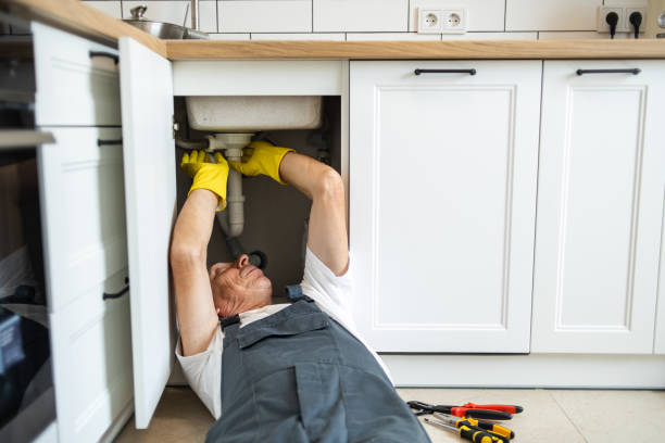 Best Local Plumber Services  in Mayo, MD